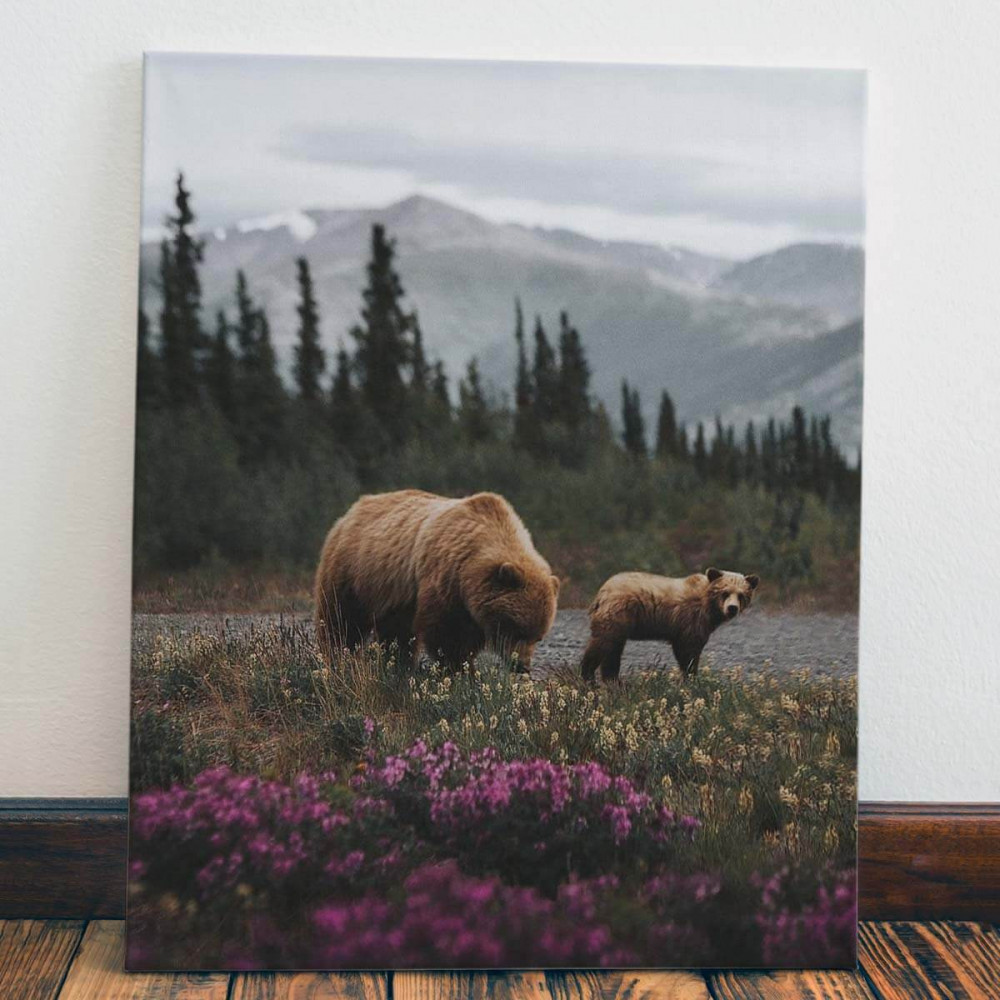 

Картина Red Panda Медведица И Медвежонок40x60