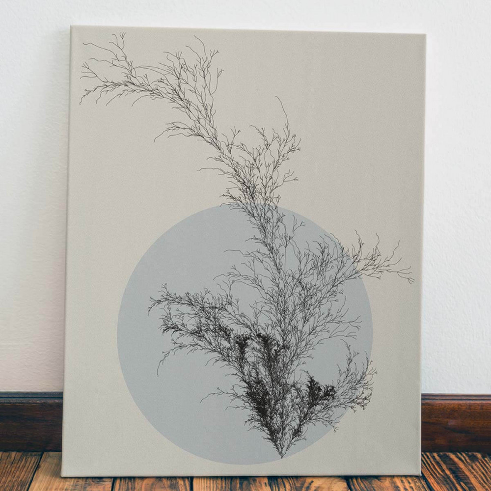 

Картина Red Panda Цветы Пустыни40x60