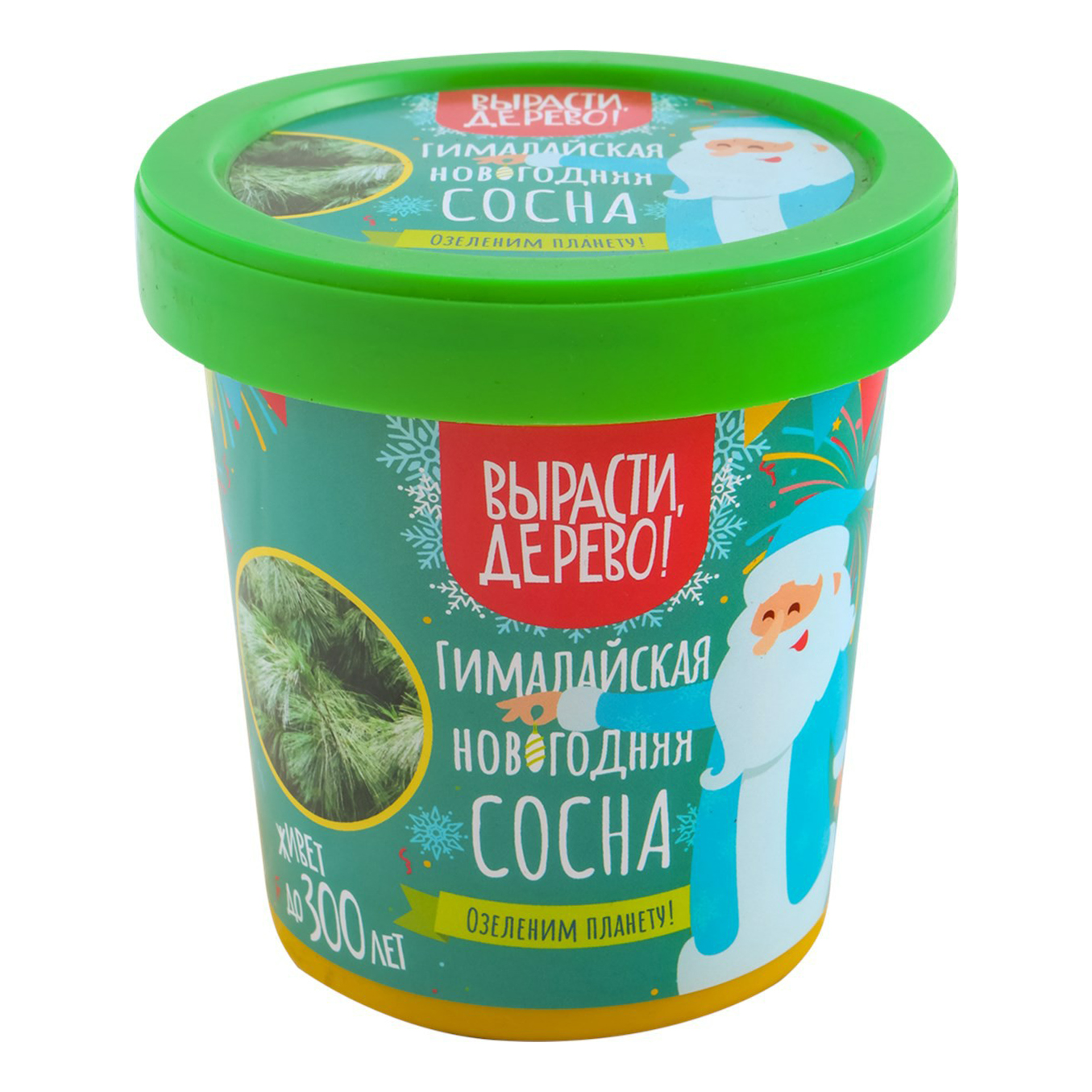 

Набор для выращивания растений Вырасти, дерево! Гималайская новогодняя сосна
