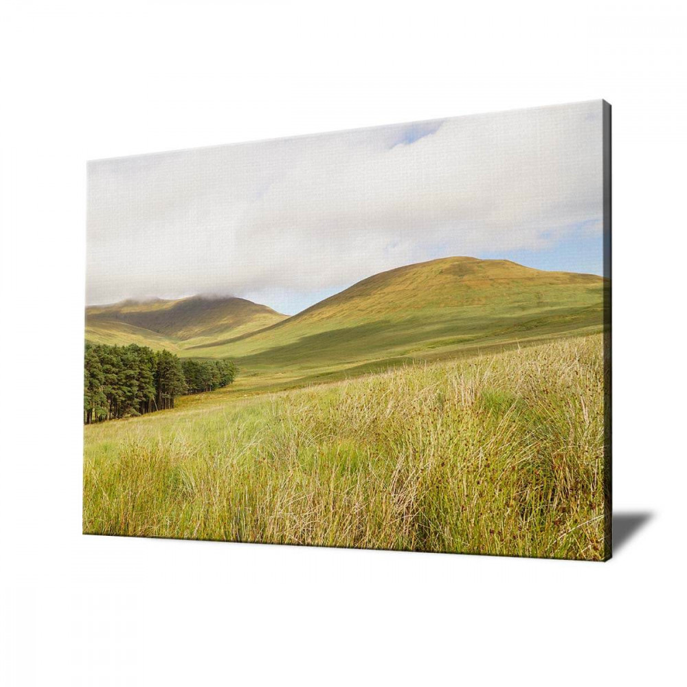 

Картина Red Panda Осенние Холмы40x60