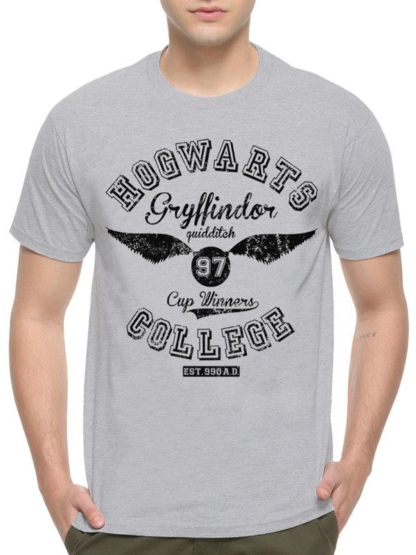 

Футболка мужская DreamShirts Studio Колледж Хогвартс - Гриффиндор 2 серая 2XL, Серый, Колледж Хогвартс - Гриффиндор 2