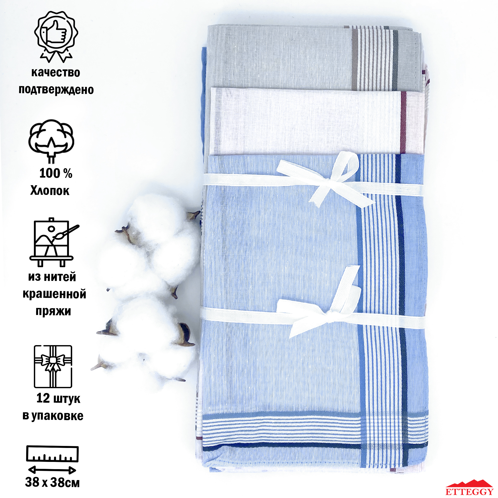 Комплект носовых платков мужской Etteggy 45447L разноцветный, 38х38 см