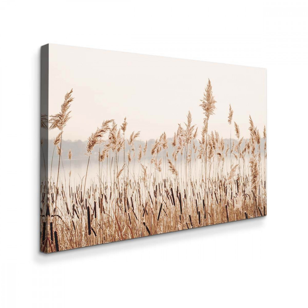 

Картина Red Panda Сухой Камыш40x60
