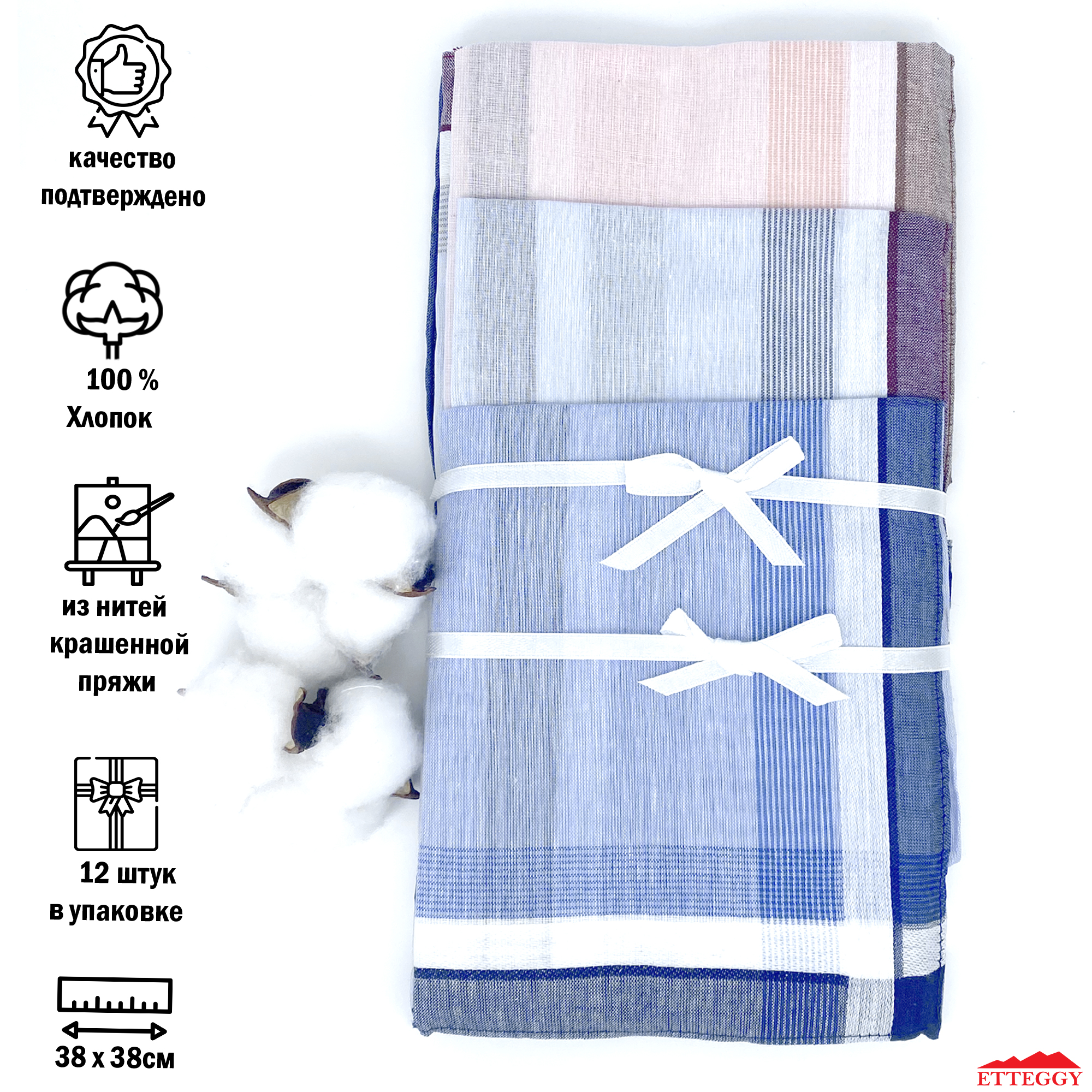 Комплект носовых платков мужской Etteggy 45447L разноцветный, 38х38 см