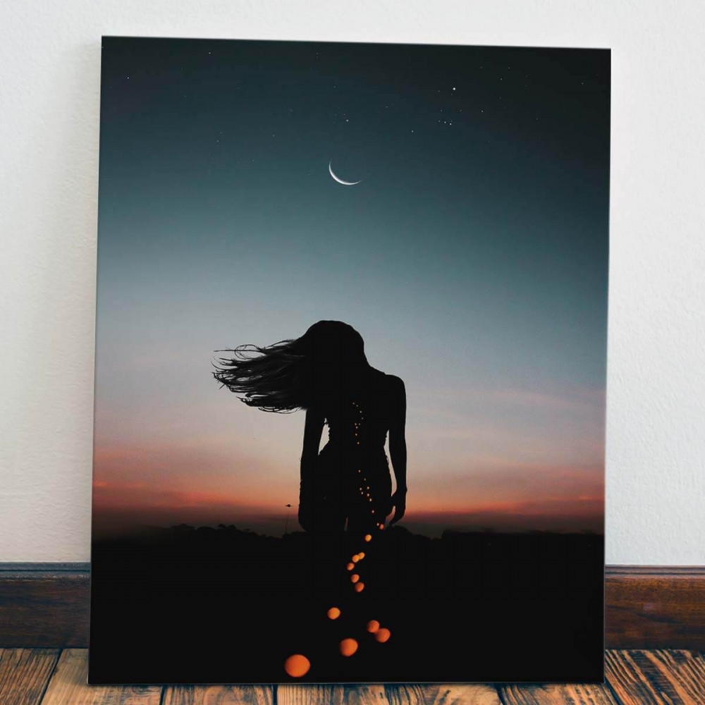 

Картина Red Panda Ночная тень40x60