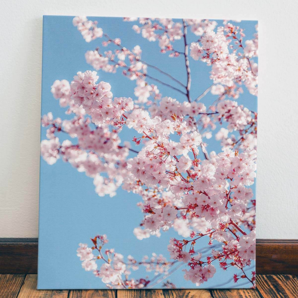 

Картина Red Panda Цветущие листья40x60