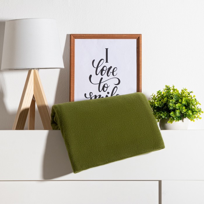 

Плед Экономь и Я Зеленый 150x200 , пл.160 г/м2, 100% п/э, 000637516