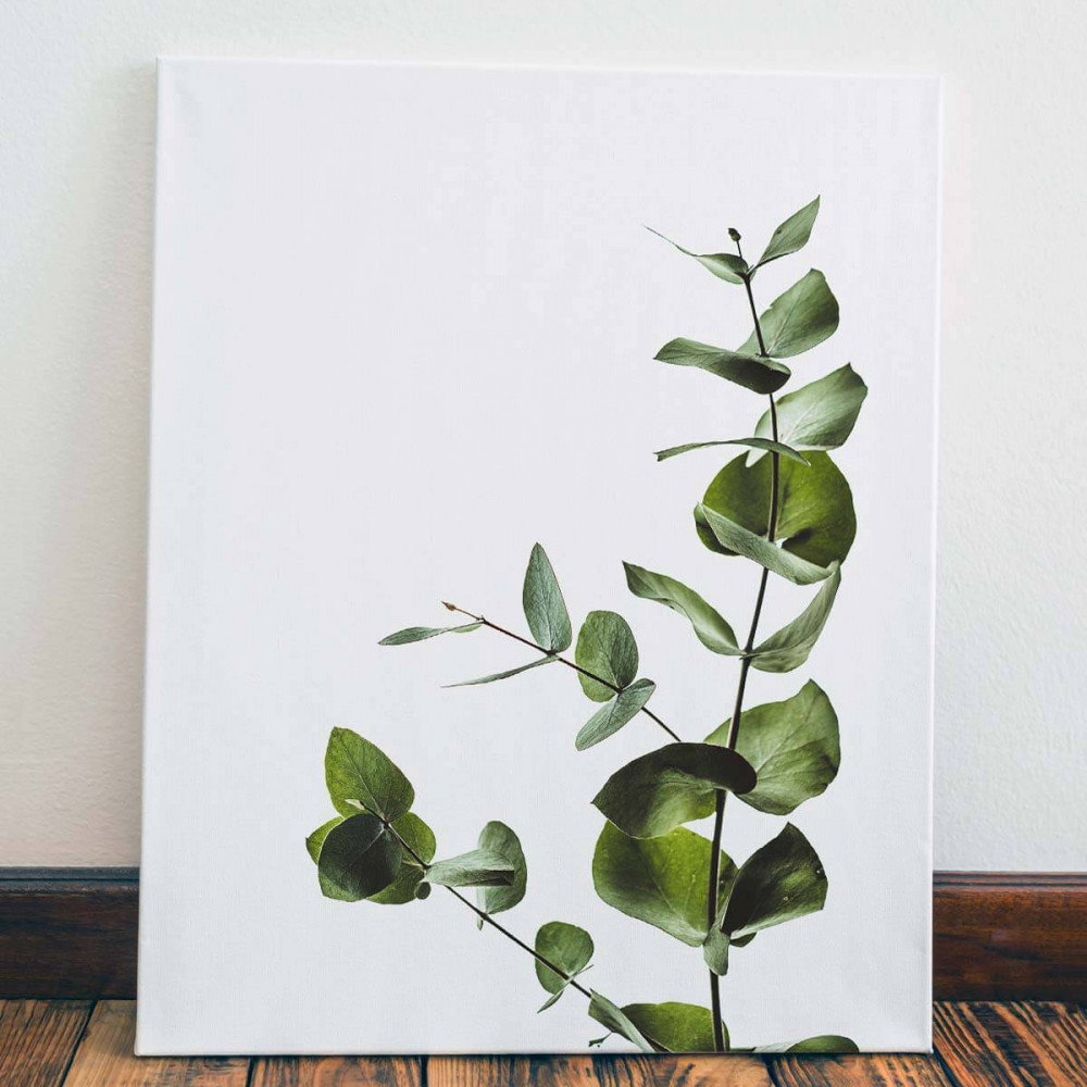 

Картина Red Panda Зеленая ветвь40x60