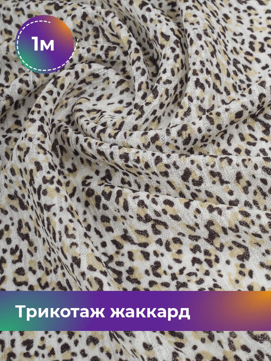 

Ткань Трикотаж жаккард Дорис Shilla, отрез 1 м * 150 см белый 1_20632.024, 17802583