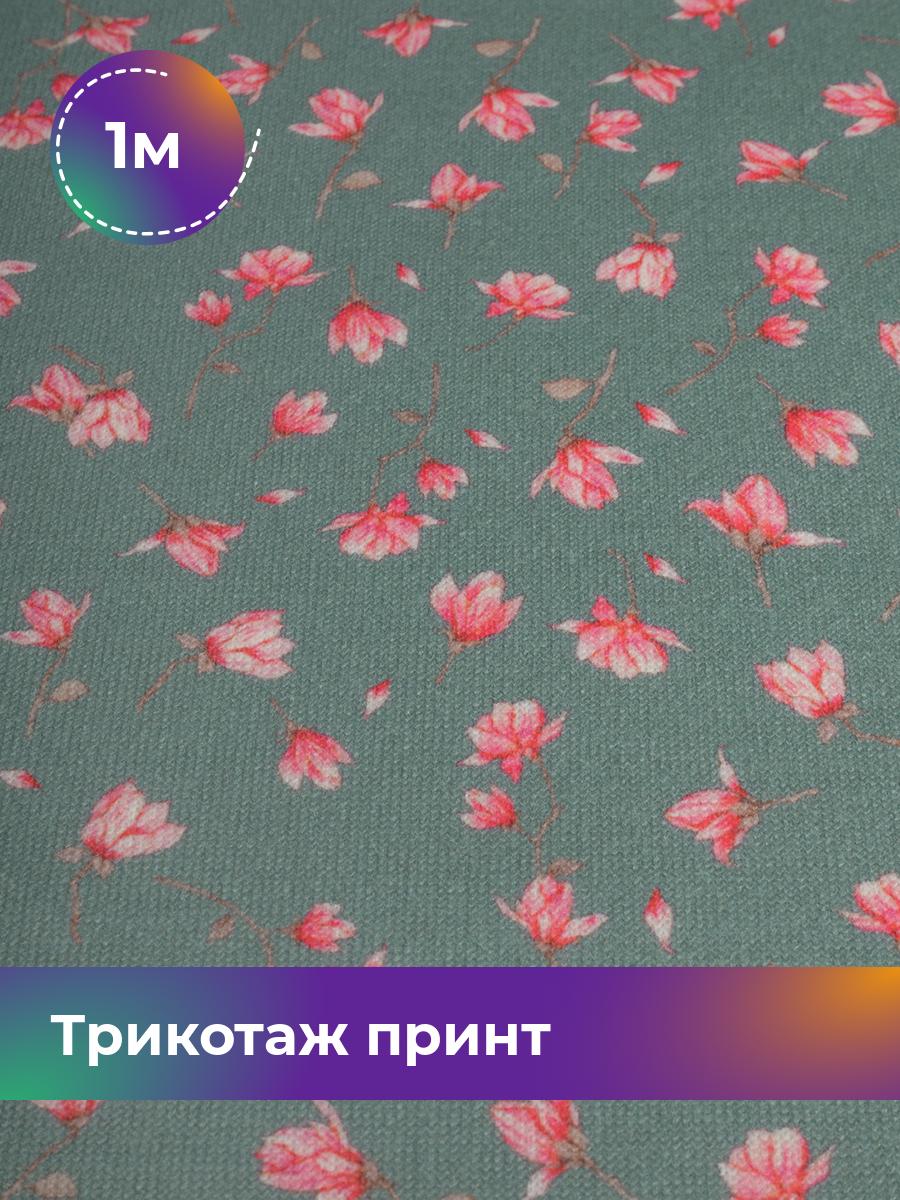 

Ткань Трикотаж принт Shilla, отрез 1 м * 155 см зеленый 1_20759.009, 17841808