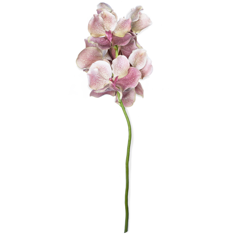 

Искусственные цветы Silk-ka Орхидея Ванда, 66см