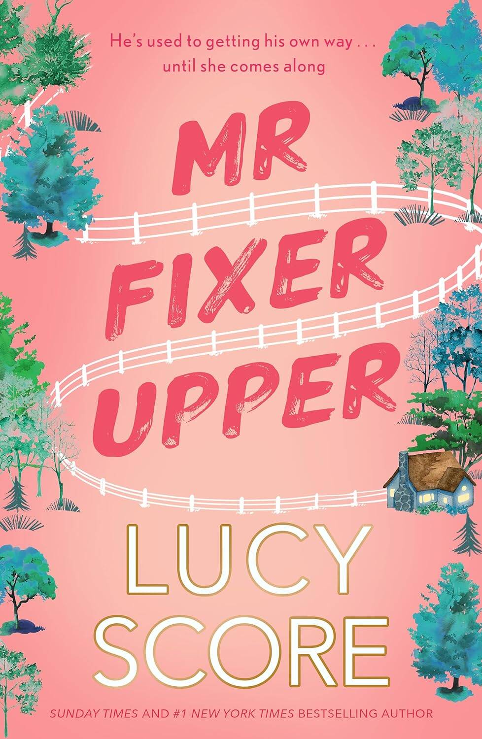

Mr Fixer Upper