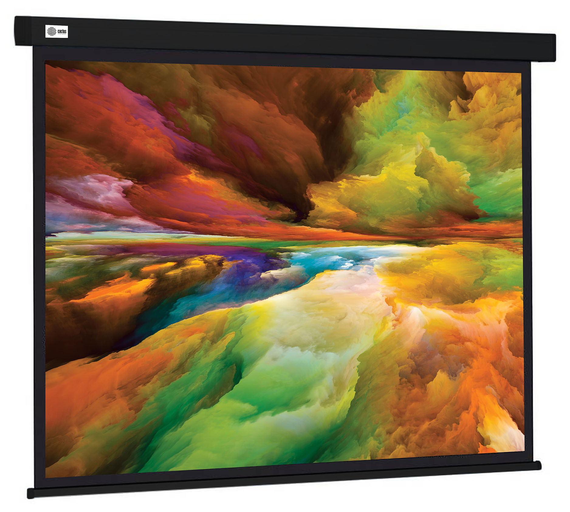 

Экран рулонный Cactus Wallscreen CS-PSW-206X274-BK, Черный