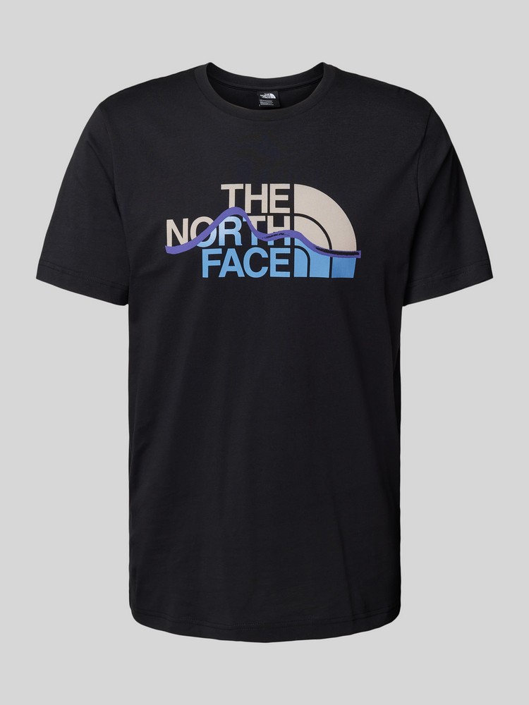 Футболка мужская The North Face NF0A87NT черная L THE NORTH FACE черный