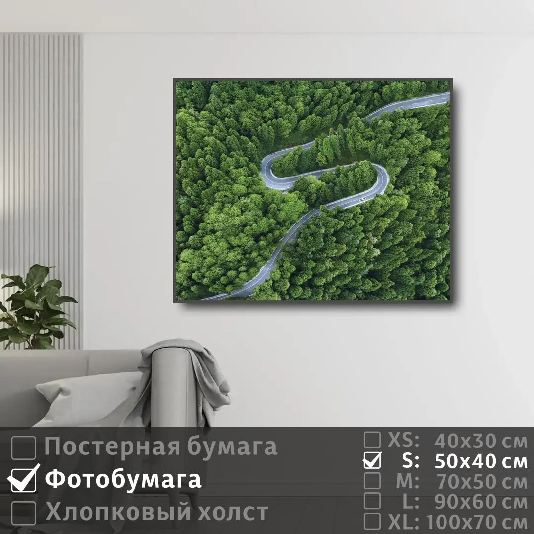 

Постер на фотобумаге ПолиЦентр Лес в зеленых тонах 50х40 см, ЛесВЗеленыхТонах