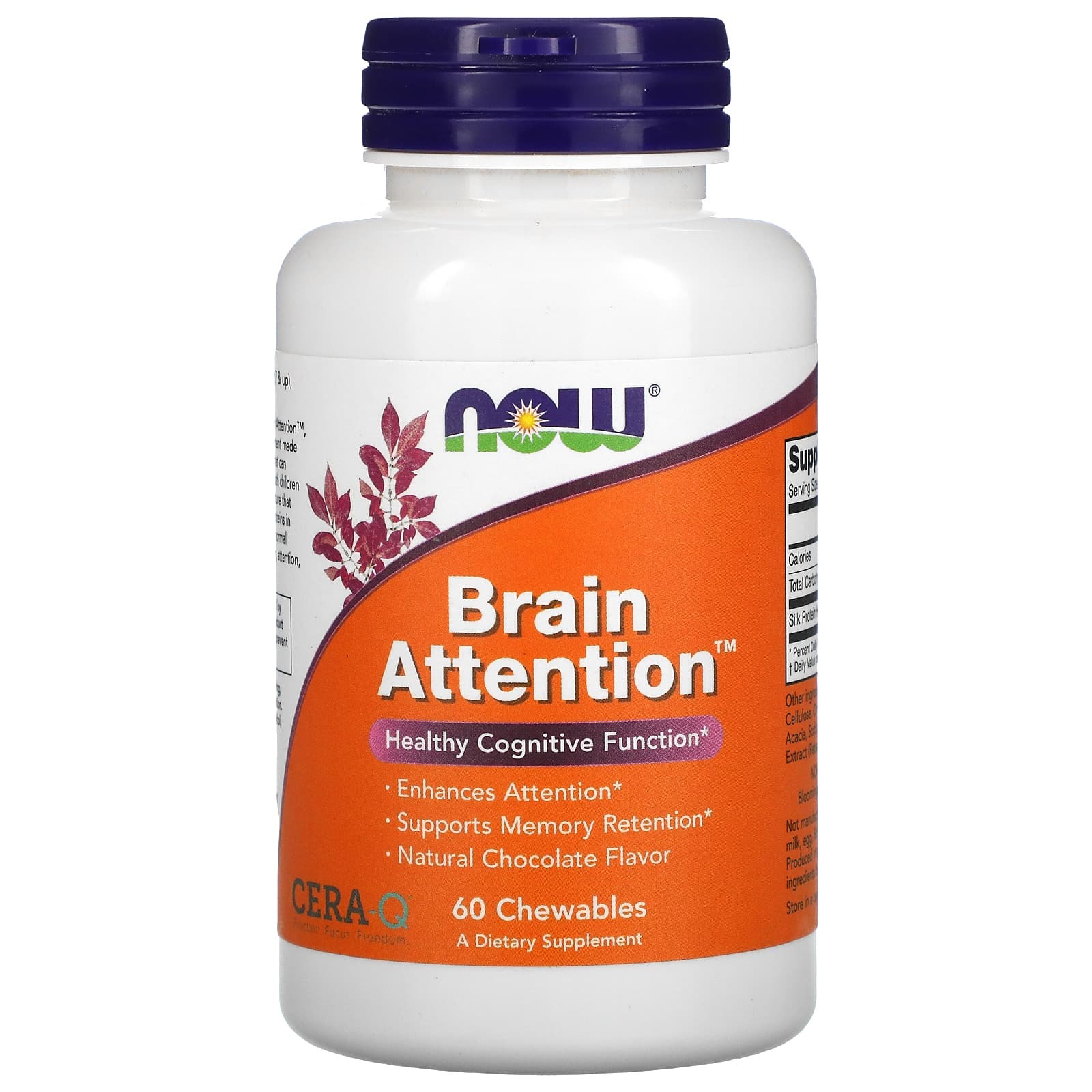 

Brain Attention NOW Healthy Cognitive Function шоколадный вкус жевательные конфеты 60 шт.