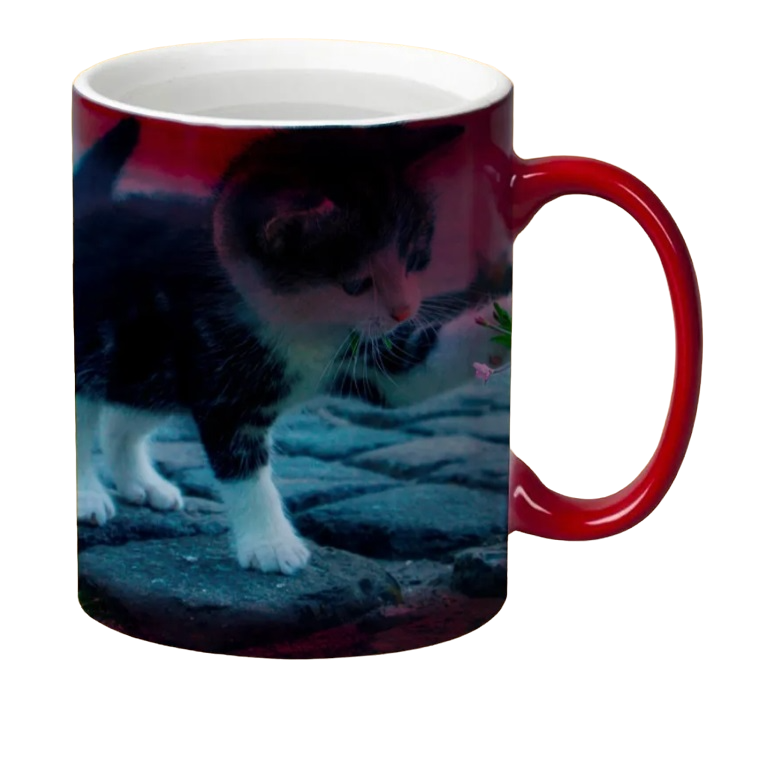 

Кружка CoolPodarok Котёнок и цветок