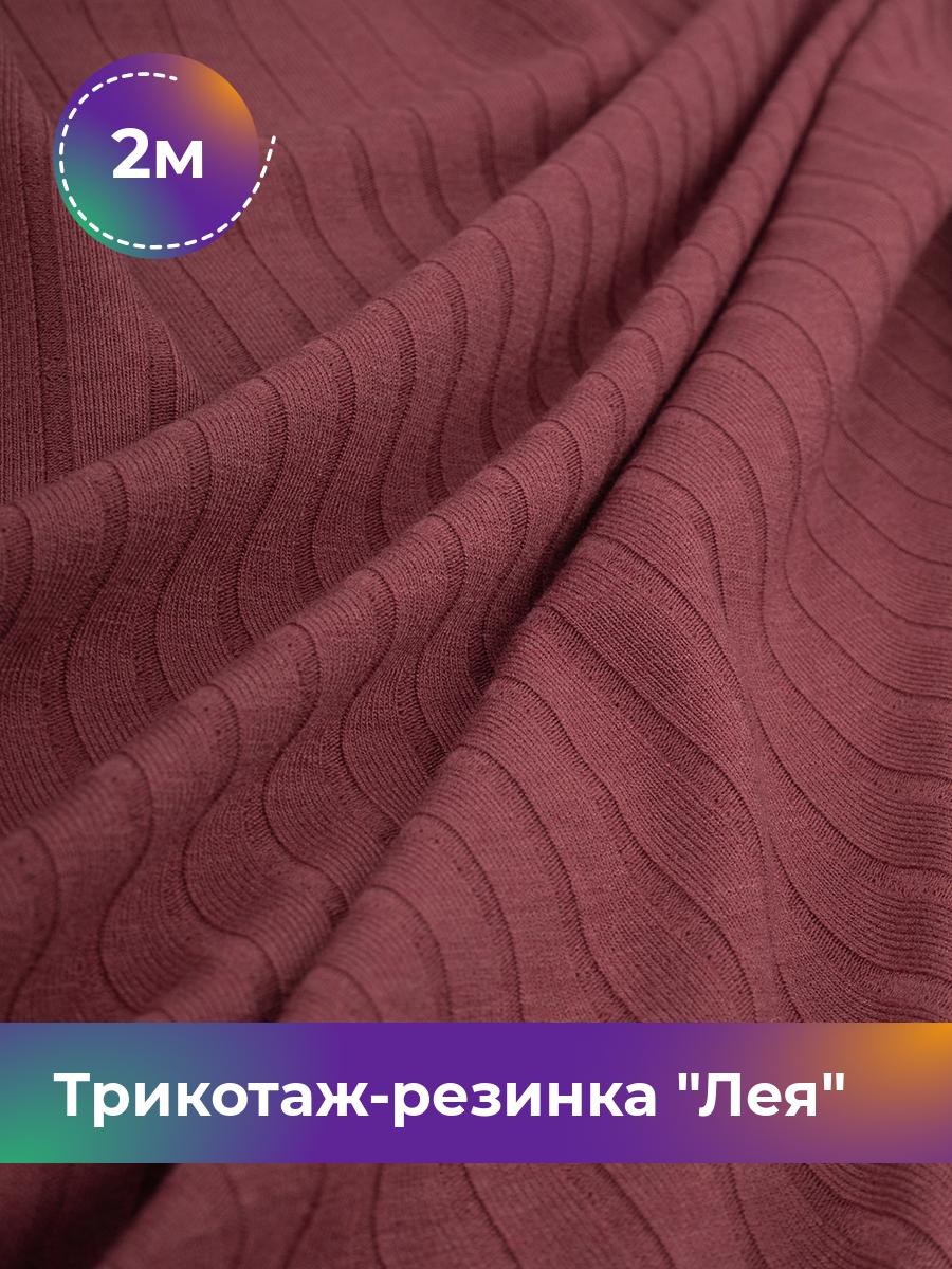 

Ткань Трикотаж-резинка Лея Shilla, отрез 2 м * 150 см бордовый 2_20740.003, 17744264