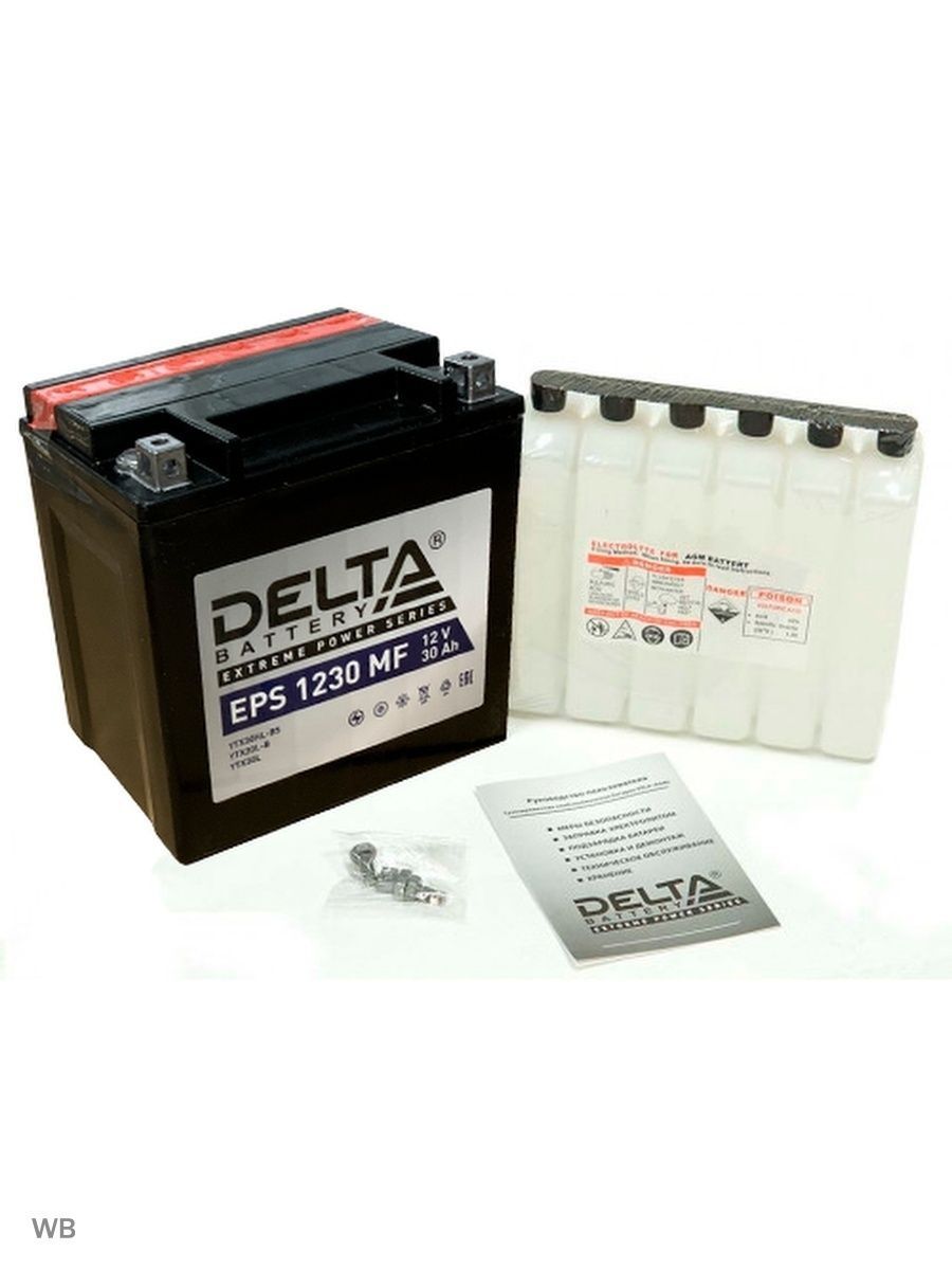 

Мото аккумулятор DELTA EPS 1230 MF (YIX30L, YIX30L-BS, YB30L-B)