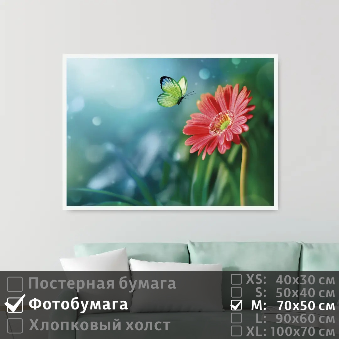 

Постер на фотобумаге ПолиЦентр Бабочка порхает над цветком 70х50 см, БабочкаПорхаетНадЦветком
