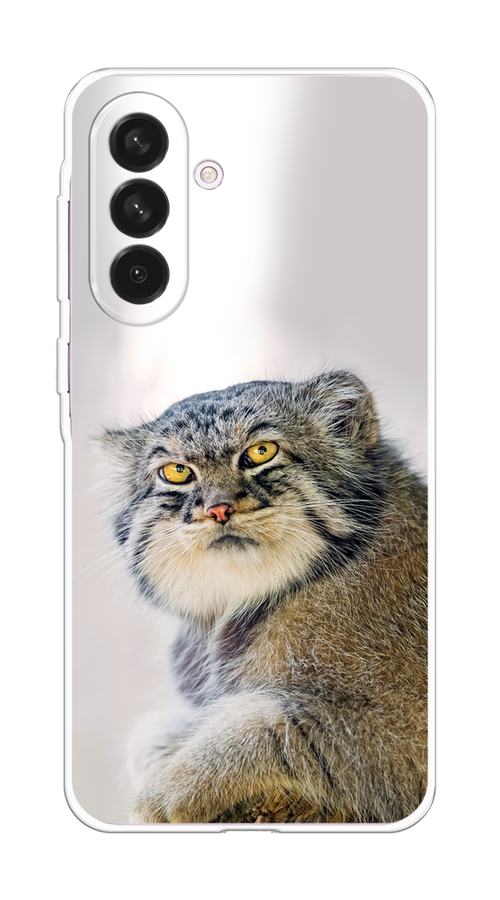 

Чехол на Samsung Galaxy A56 5G "Кот манул 1", Серый;белый;желтый, 2110850-1
