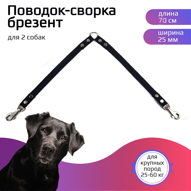 

Поводок-сворка Хвостатыч, для двух собак, крупных пород, брезент, черный, 70х25 мм