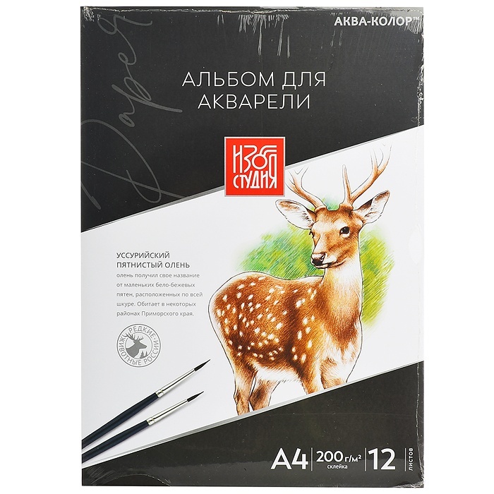 

ВКФ 200 г/м2, А4, 30х21 см, склейка
