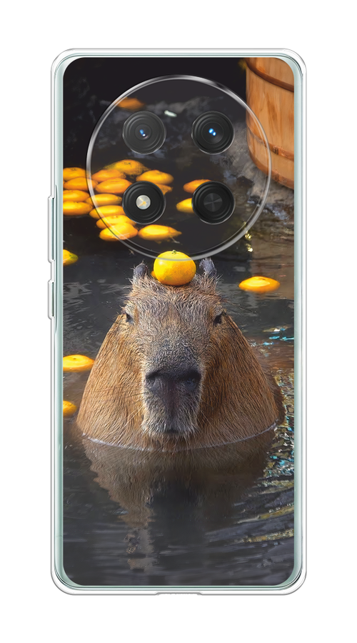 

Чехол на Honor X9C/X60 Pro "Капибара отдыхает", Коричневый;оранжевый;серый, 6125350-1