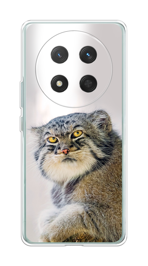 

Чехол на Honor X9C/X60 Pro "Кот манул 1", Серый;белый;желтый, 6125350-1