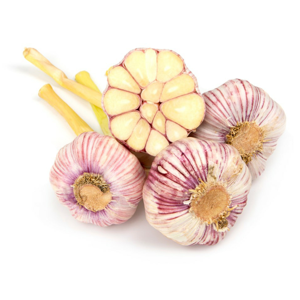 

Чеснок ранний