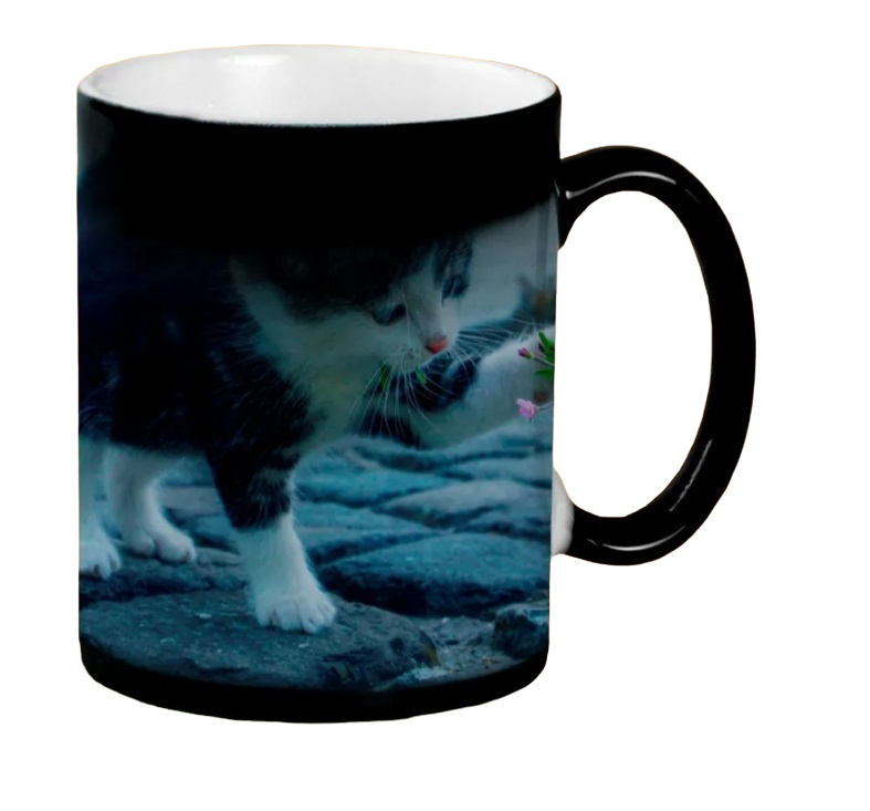 

Кружка CoolPodarok Котёнок и цветок