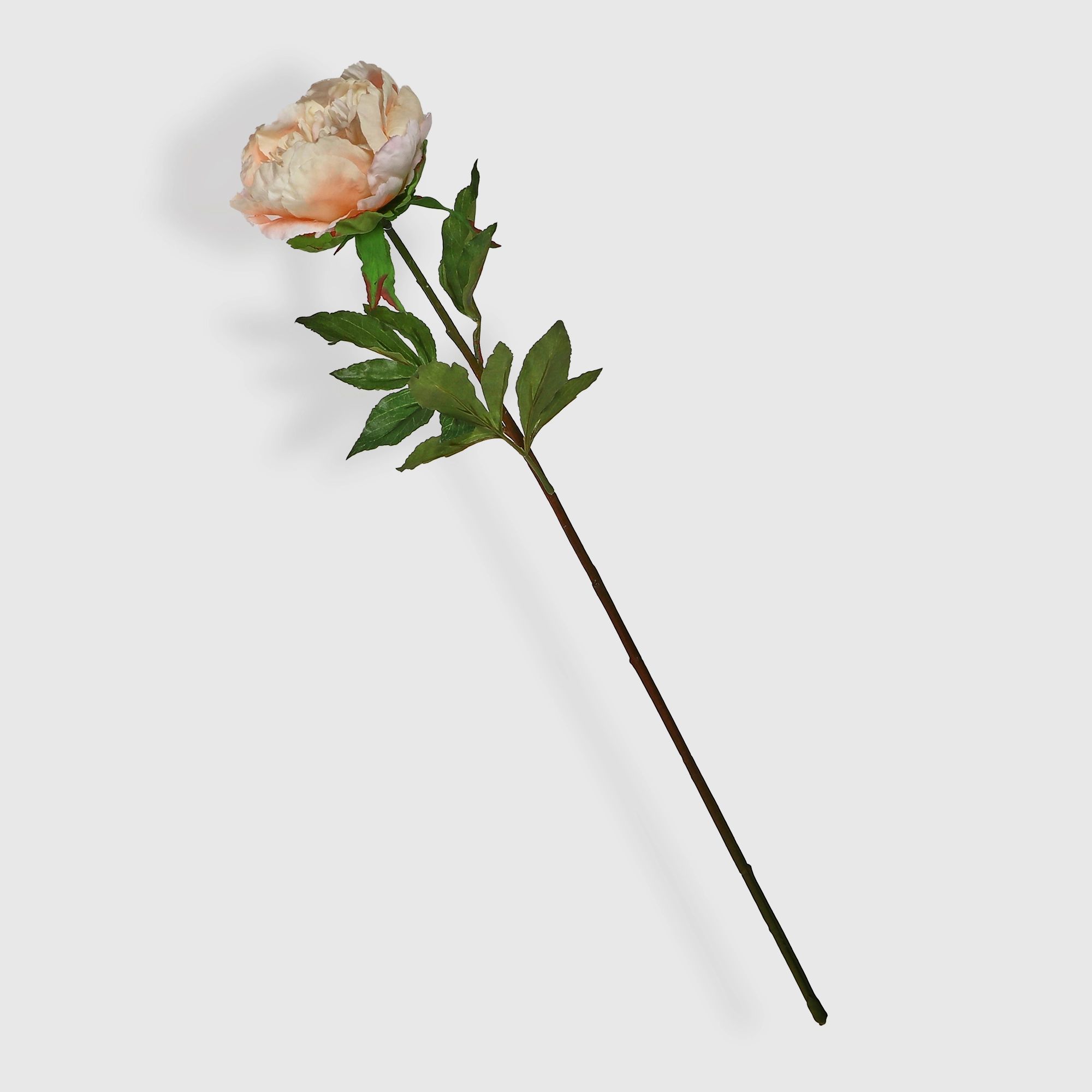 

Искусственный цветок пион Most flowers кремовый 77 см