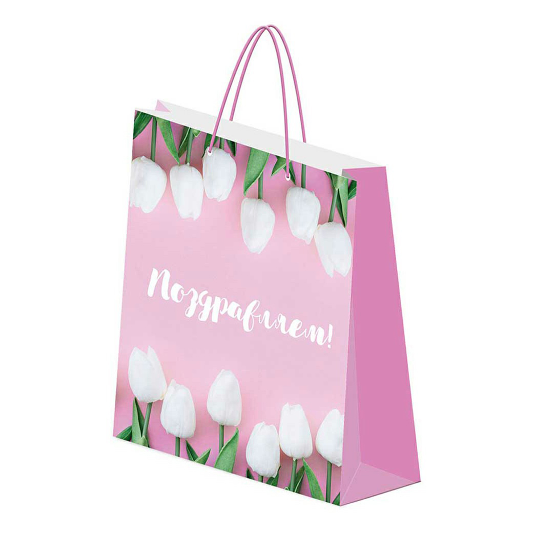 

Пакет подарочный Regalissimi глянцевый 20 x 24 x 11,5 см