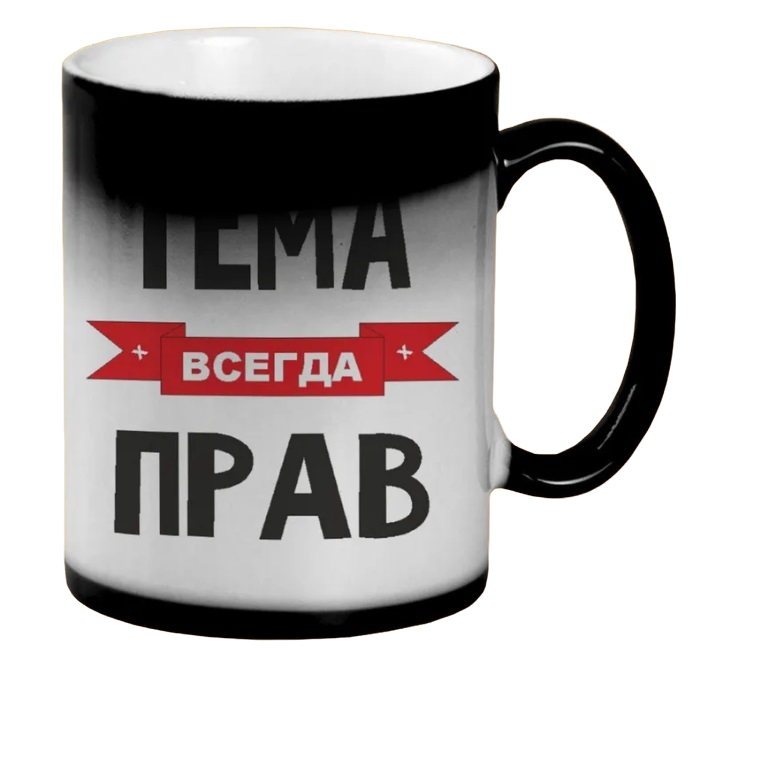 

Кружка CoolPodarok Тема всегда прав