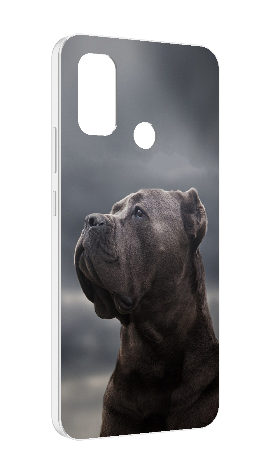 

Чехол MyPads кане корсо для UleFone Note 10P/Note 10, Прозрачный, Tocco