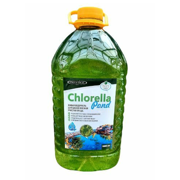 

Живая водоросль для биологической очистки пруда Chlorella Pond 5 л