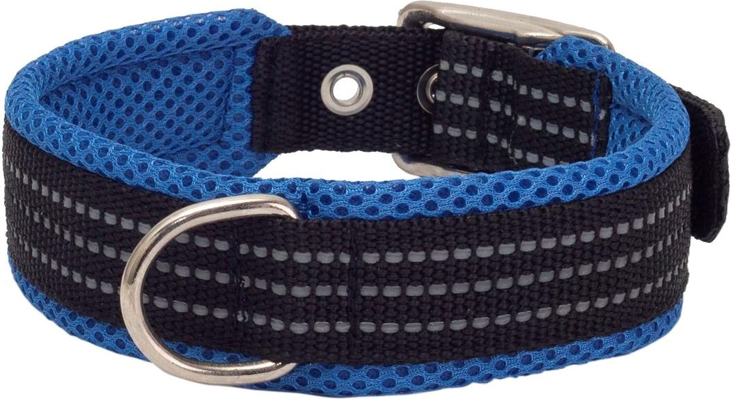 фото Ошейник для собак каскад нейлоновый с мягкой подкладкой, 25 мм х 39-45 см, синий