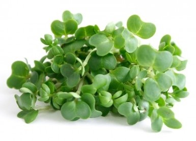 

Кресс-салат 0,3 кг