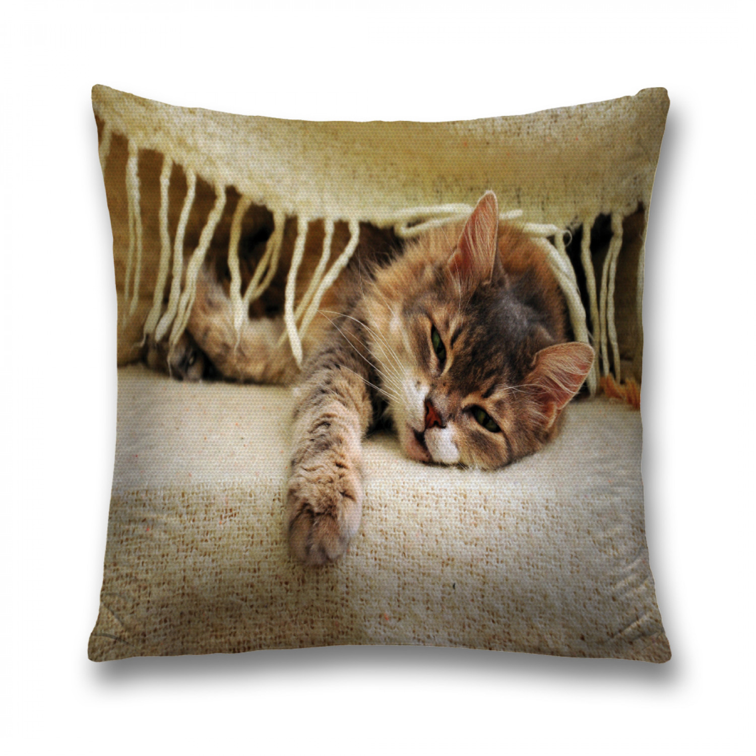 

Наволочка декоративная JoyArty "Кошачий комфорт" на молнии, 45x45 см, Бежевый, Кошачий комфорт