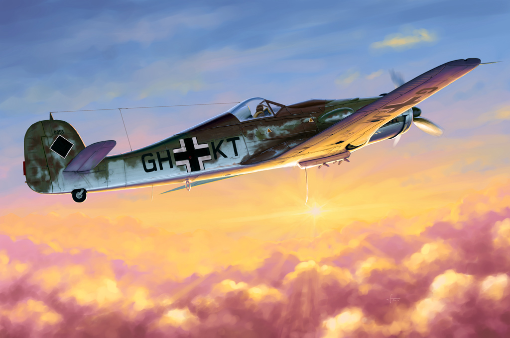 

Сборная модель HobbyBoss 1/48 Самолёт Focke-Wulf FW190D-10 81717