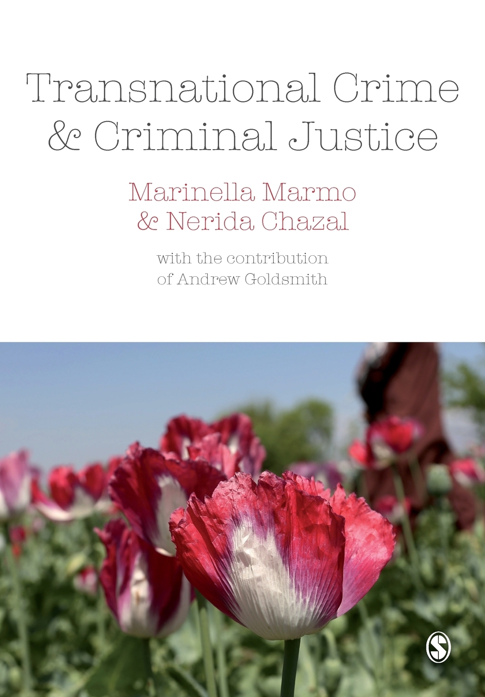 

Transnational Crime and Criminal Justice