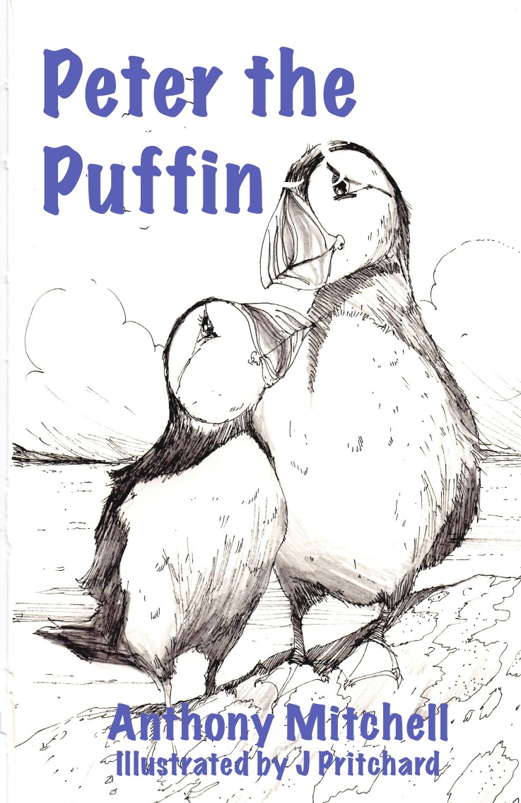 

Peter the Puffin