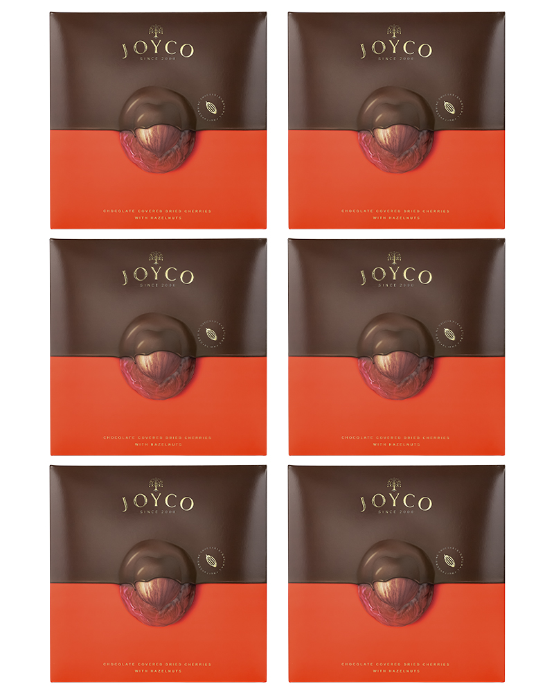 

Шоколадные конфеты JOYCO Сухофрукт вишни в шоколаде с фундуком, 6 шт по 170 г