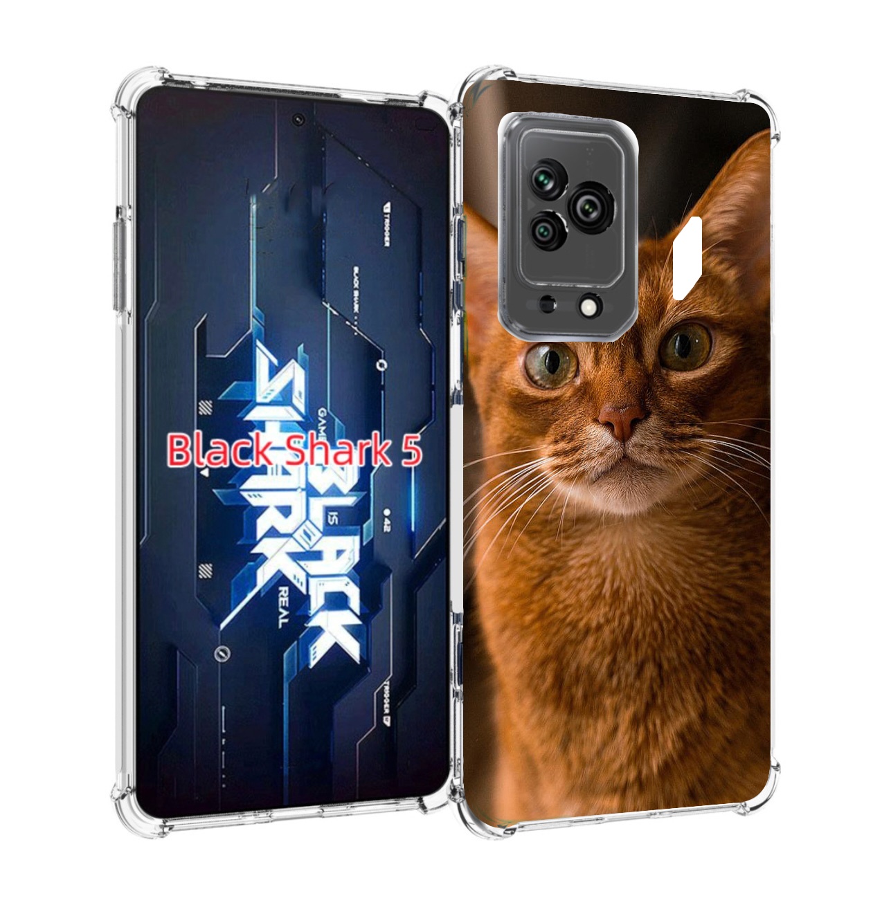 Чехол MyPads порода кошки абисинская для Xiaomi Black Shark 5 Tocco