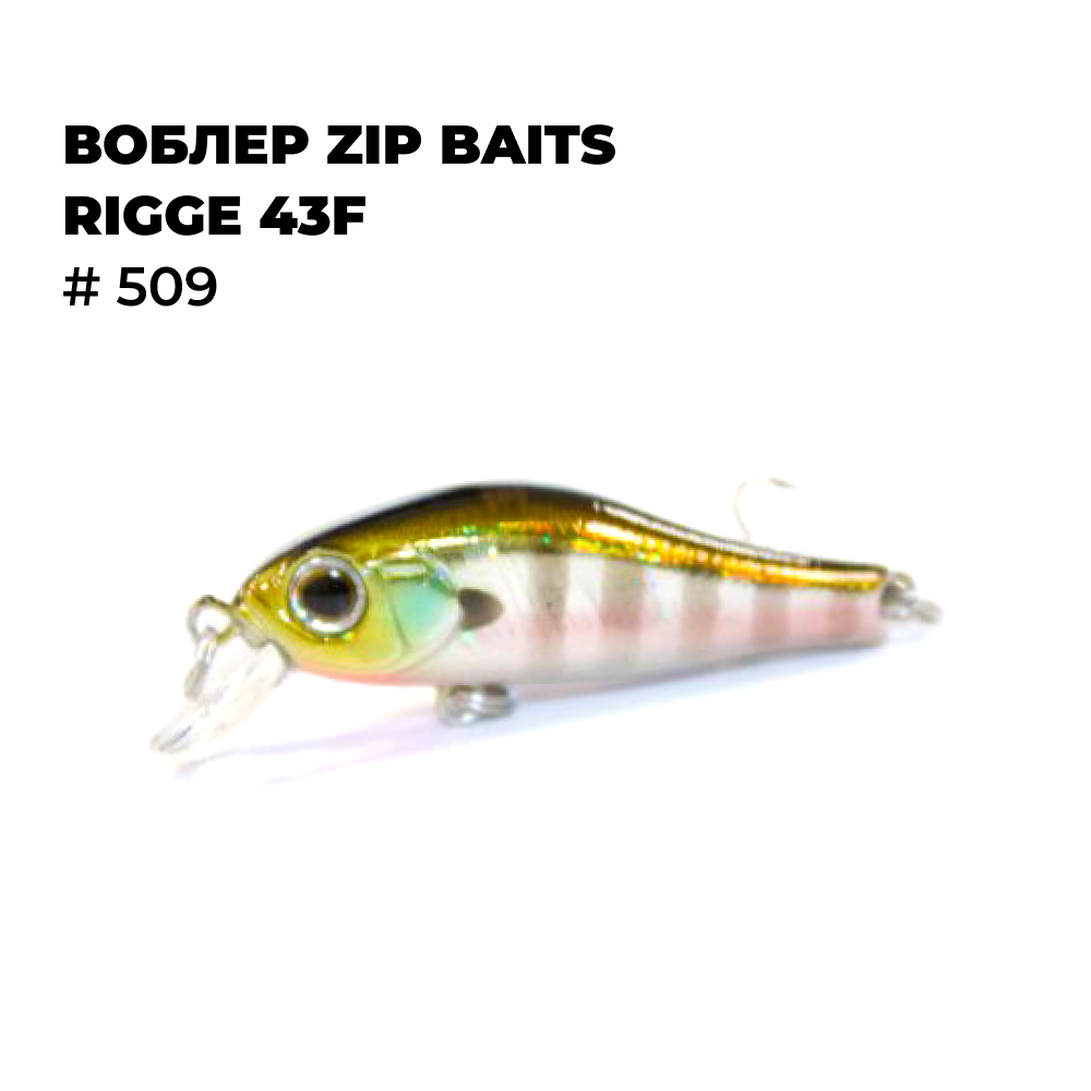 

Воблер Zip Baits RIGGE 43F # 509, Зеленый;желтый;черный;серый, RIGGE_
