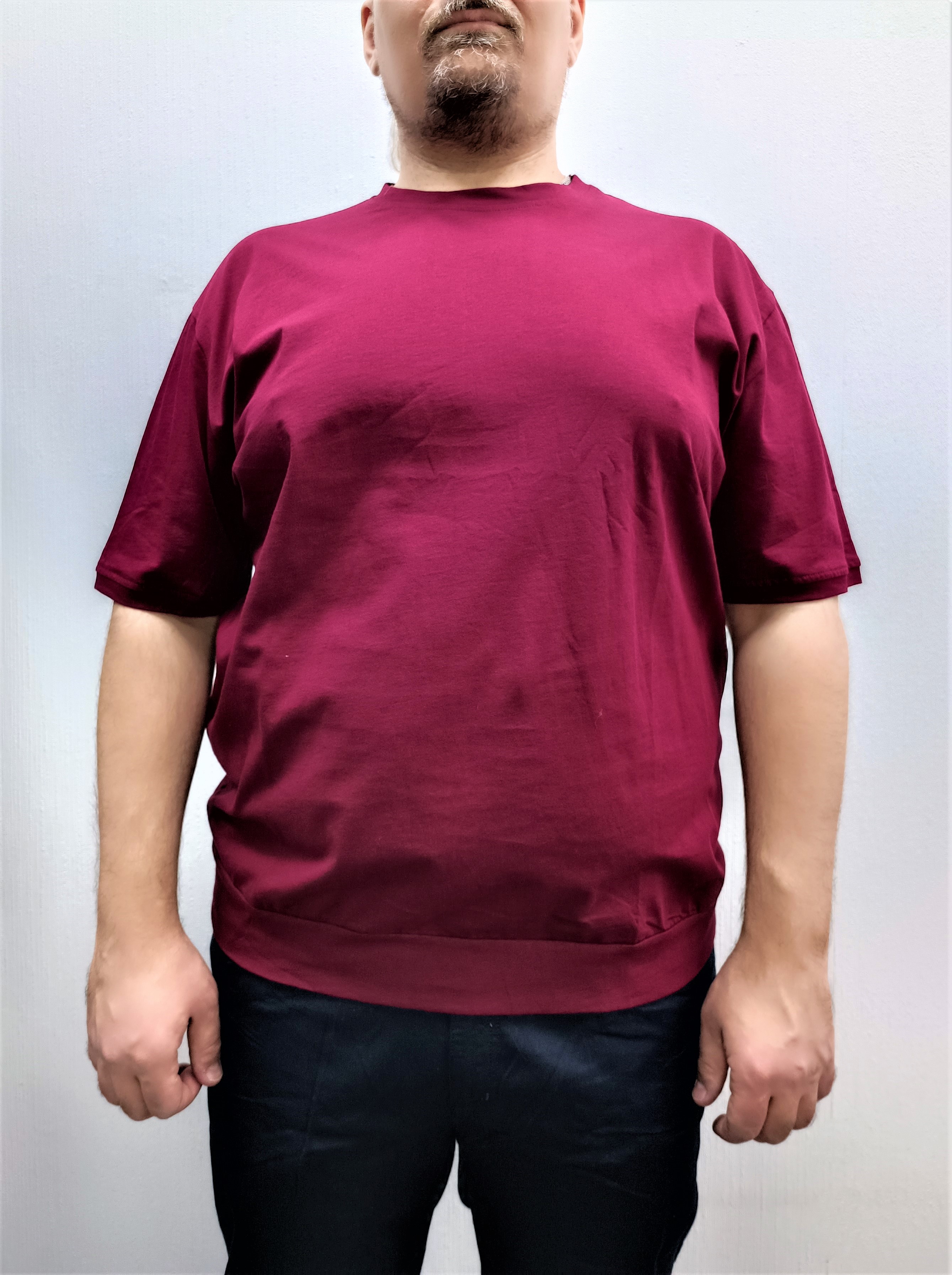 Футболка мужская Ramon Miele 7000 бордовая 66 RU
