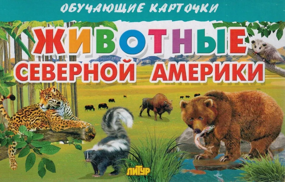 

Карточки. Животные Северной Америки