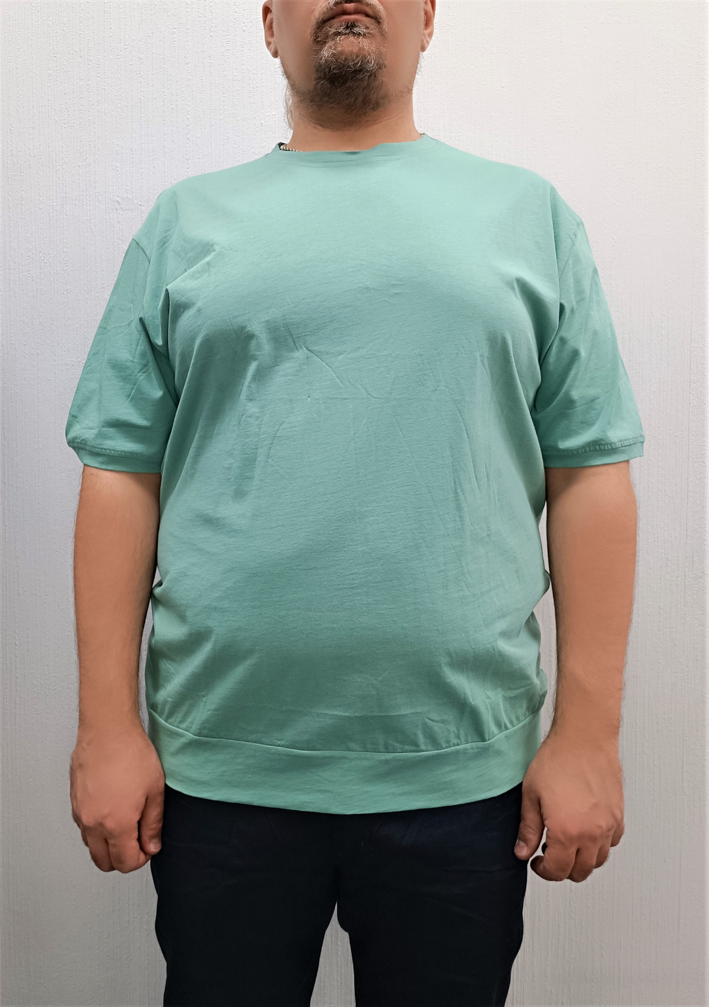 Футболка мужская Ramon Miele 7000 зеленая 64 RU