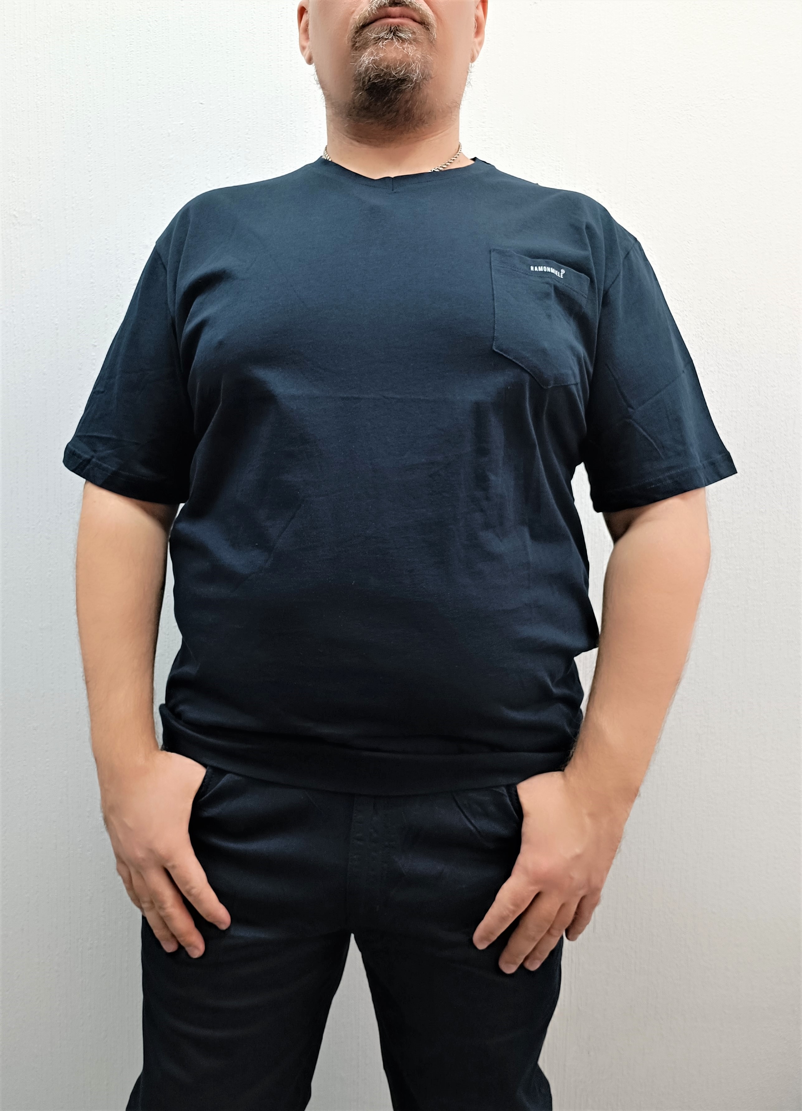 Футболка мужская Ramon Miele 7004 синяя 70 RU