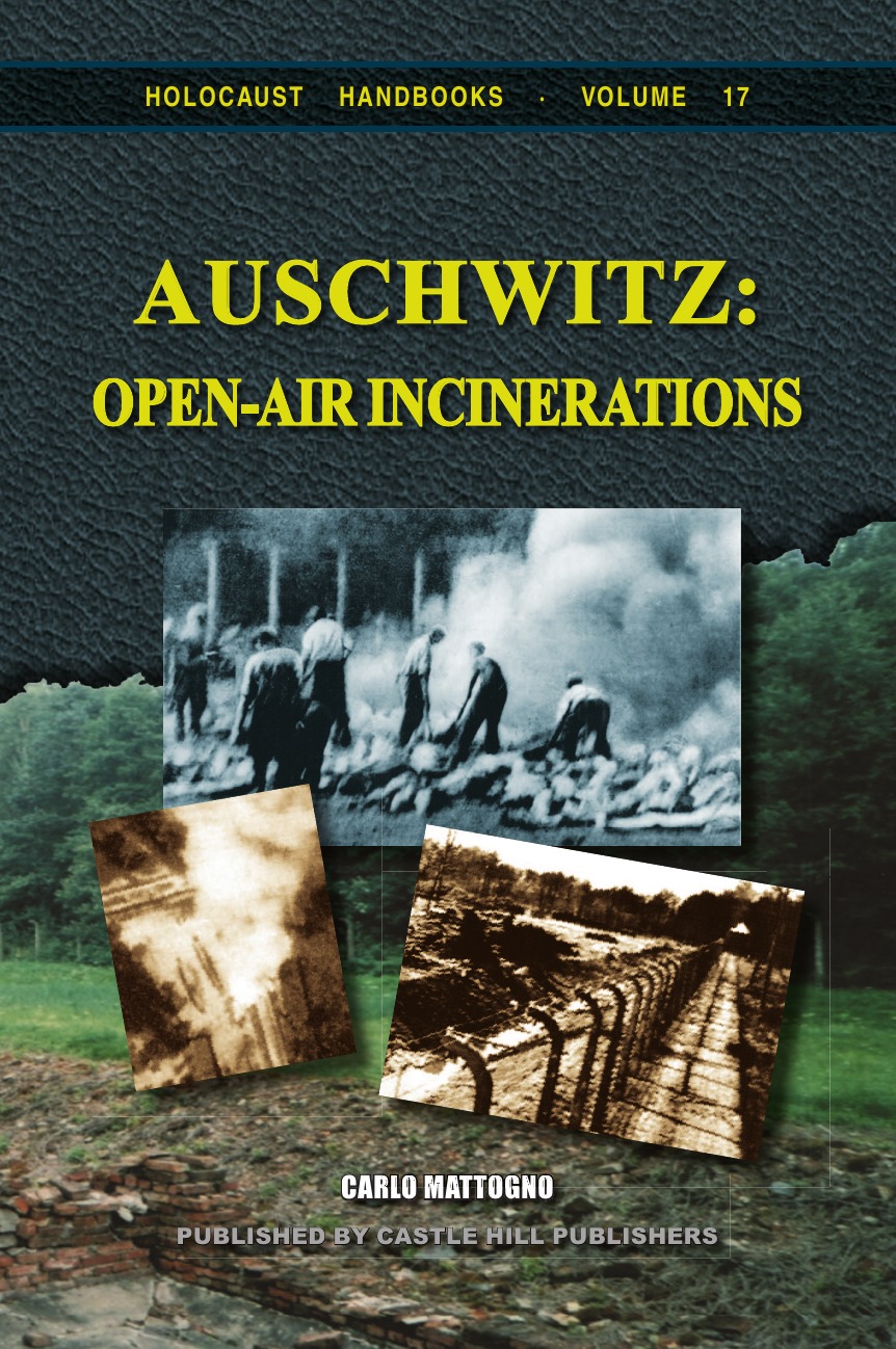 

Auschwitz, Open-Air Incinerations